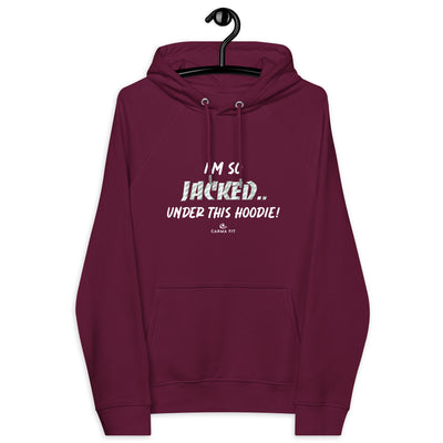 Unisex eco raglan hoodie